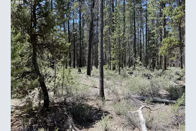 Off Nf 9768 #TL 300, Crescent, OR 97733 - Photo 12