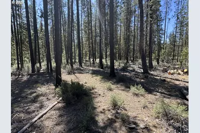 Off Nf 9768 #TL 300, Crescent, OR 97733 - Photo 22