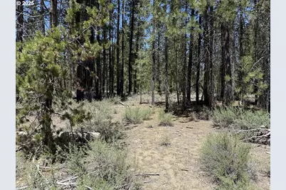 Off Nf 9768 #TL 300, Crescent, OR 97733 - Photo 14