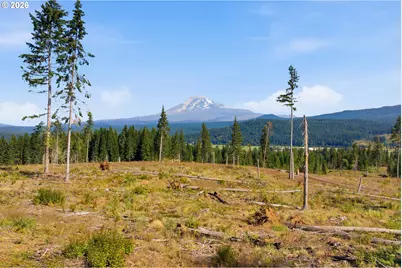 0 Little Mountain Rd, Trout Lake, WA 98650 - Photo 18