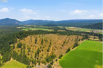 0 Little Mountain Rd, Trout Lake, WA 98650 - Photo 10