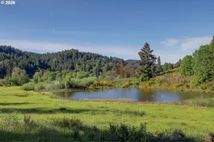 5143 Umpqua Hwy 99, Drain, OR 97435 - Photo 36