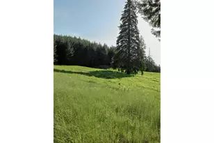 5143 Umpqua Hwy 99, Drain, OR 97435 - Photo 38