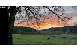 5143 Umpqua Hwy 99, Drain, OR 97435 - Photo 44