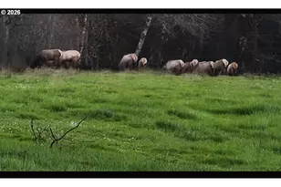 5143 Umpqua Hwy 99, Drain, OR 97435 - Photo 38