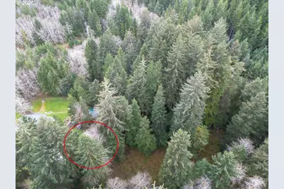 10840 Tillicum Loop, Neskowin, OR 97149 - Photo 12