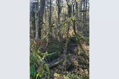 Rock Creek Rd #1, Sheridan, OR 97378 - Photo 1