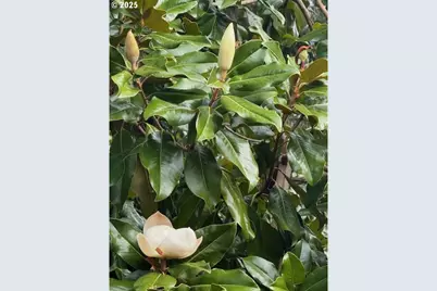 15240 SW 100th Ave, Tigard, OR 97224 - Photo 4