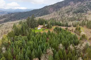 864 Larkspur Ln, Oakland, OR 97462 - Photo 44