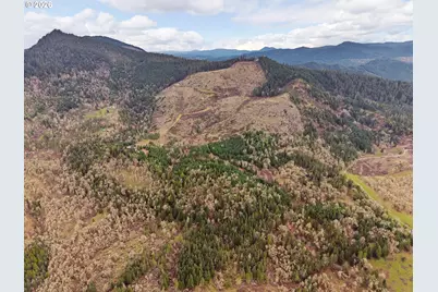 864 Larkspur Ln, Oakland, OR 97462 - Photo 46