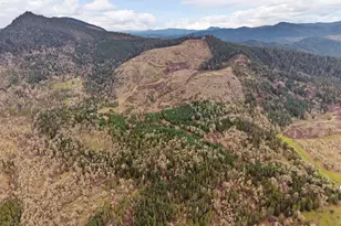 864 Larkspur Ln, Oakland, OR 97462 - Photo 46