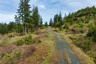 000 Jerrys Flat Rd, Gold Beach, OR 97444 - Photo 26