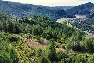 000 Jerrys Flat Rd, Gold Beach, OR 97444 - Photo 20