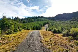 000 Jerrys Flat Rd, Gold Beach, OR 97444 - Photo 8