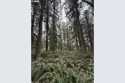 Meserve Rd, Rainier, OR 97048 - Photo 8