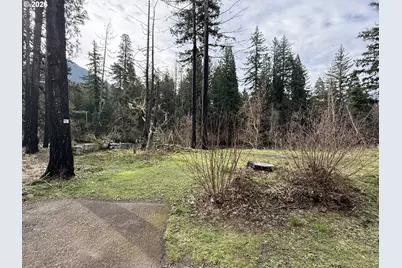 54480 McKenzie River Dr, Blue River, OR 97413 - Photo 4