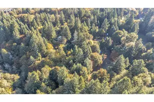 26100 NE 65th Ave, Battle Ground, WA 98604 - Photo 28
