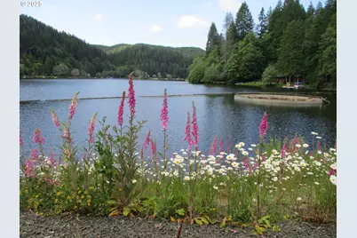 71250 Northshore Dr, Birkenfeld, OR 97016 - Photo 18