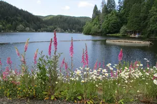 71250 Northshore Dr, Birkenfeld, OR 97016 - Photo 18