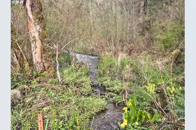 23009 NE Dole Valley Rd, Yacolt, WA 98675 - Photo 42