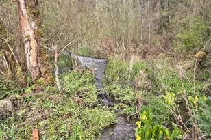 23009 NE Dole Valley Rd, Yacolt, WA 98675 - Photo 42