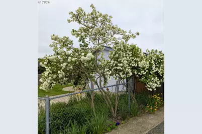 962 Rainbow Dr, Springfield, OR 97477 - Photo 48