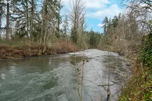 16695 Dancing Fox Ln NE, Silverton, OR 97381 - Photo 42