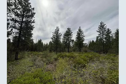 Bunting Dr, Bonanza, OR 97623 - Photo 1