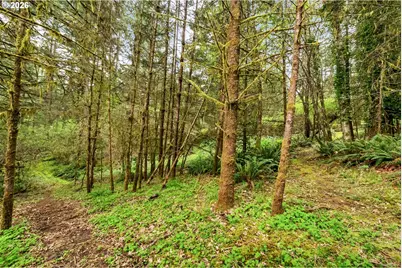 89879 Sheffler Rd, Elmira, OR 97437 - Photo 36