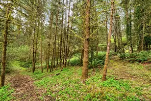 89879 Sheffler Rd, Elmira, OR 97437 - Photo 36