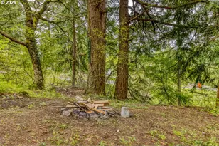22 NW Lucas St, Stevenson, WA 98648 - Photo 38