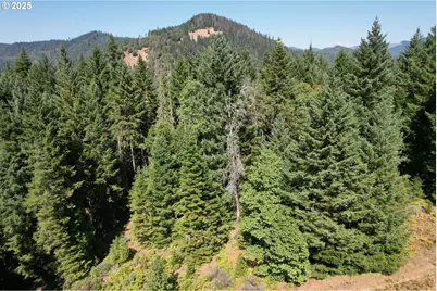 750 Ferguson Ln, Days Creek, OR 97429 - Photo 38