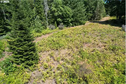 750 Ferguson Ln, Days Creek, OR 97429 - Photo 36