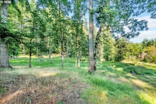 32739 Taylor Butte Rd, Cottage Grove, OR 97424 - Photo 48