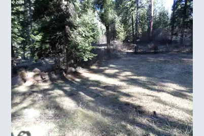 59931 River Canyon Rd, Imnaha, OR 97842 - Photo 12