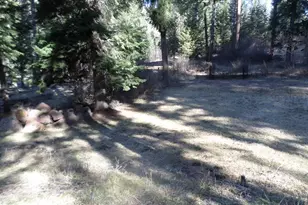 59931 River Canyon Rd, Imnaha, OR 97842 - Photo 12