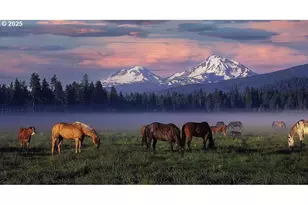 11122 Bunk House Ln, Redmond, OR 97756 - Photo 28