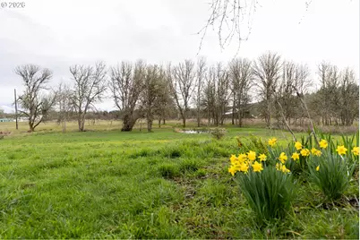 26724 Monroe Cemetery Rd, Monroe, OR 97456 - Photo 10