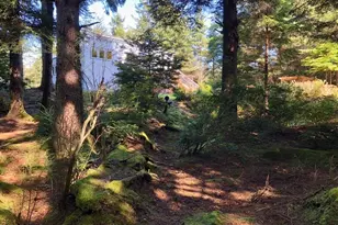 3512 Hwy 101, Yachats, OR 97498 - Photo 38