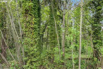 9521 NE Tenny Creek Dr, Vancouver, WA 98665 - Photo 14
