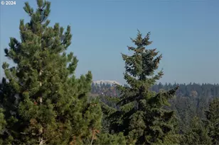 1093 Tyndall Ct, Lake Oswego, OR 97034 - Photo 22