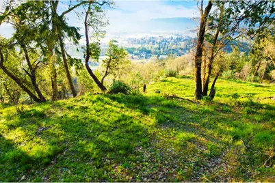 0 Black Oak Dr, Roseburg, OR 97471 - Photo 2