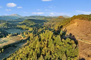 39904 NE Rotschy Rd, Yacolt, WA 98675 - Photo 46
