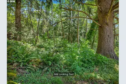 [Address not provided], Cannon Beach, OR 97110 - Photo 10
