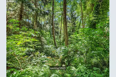 [Address not provided], Cannon Beach, OR 97110 - Photo 12