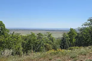 78902 Walters Rd, Maupin, OR 97037 - Photo 6
