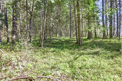 76113 Fish Hatchery Rd, Oakridge, OR 97463 - Photo 40