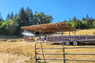 3450 Hogan Rd, Oakland, OR 97462 - Photo 38