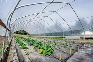 23175 NE Ridge Rd, Gaston, OR 97119 - Photo 24