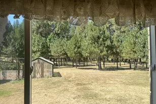 51474 Sunflower Flat Rd, Heppner, OR 97836 - Photo 14
